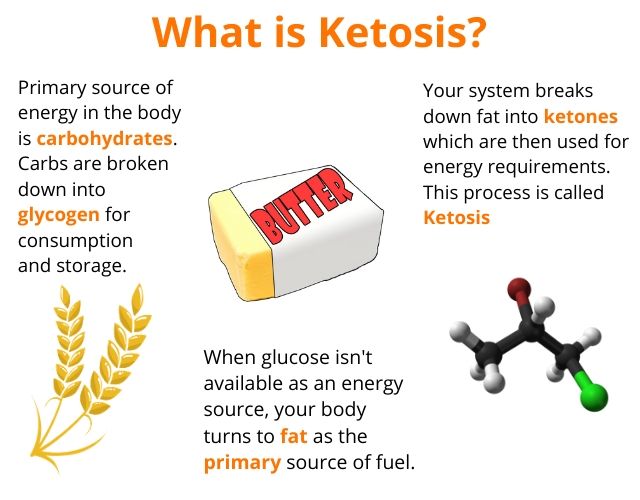 ketosis to lose weight

