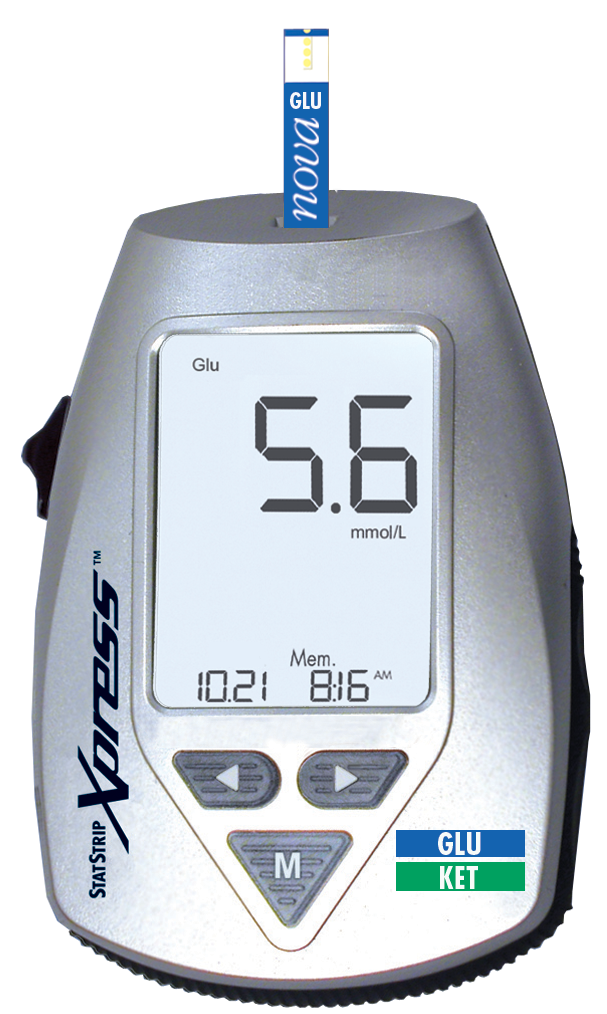 blood glucose and ketone meter