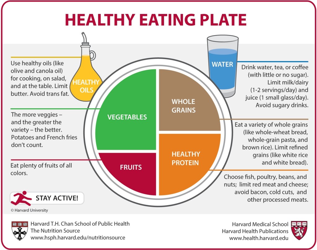 Healthy Plate to Shrink Your Stomach