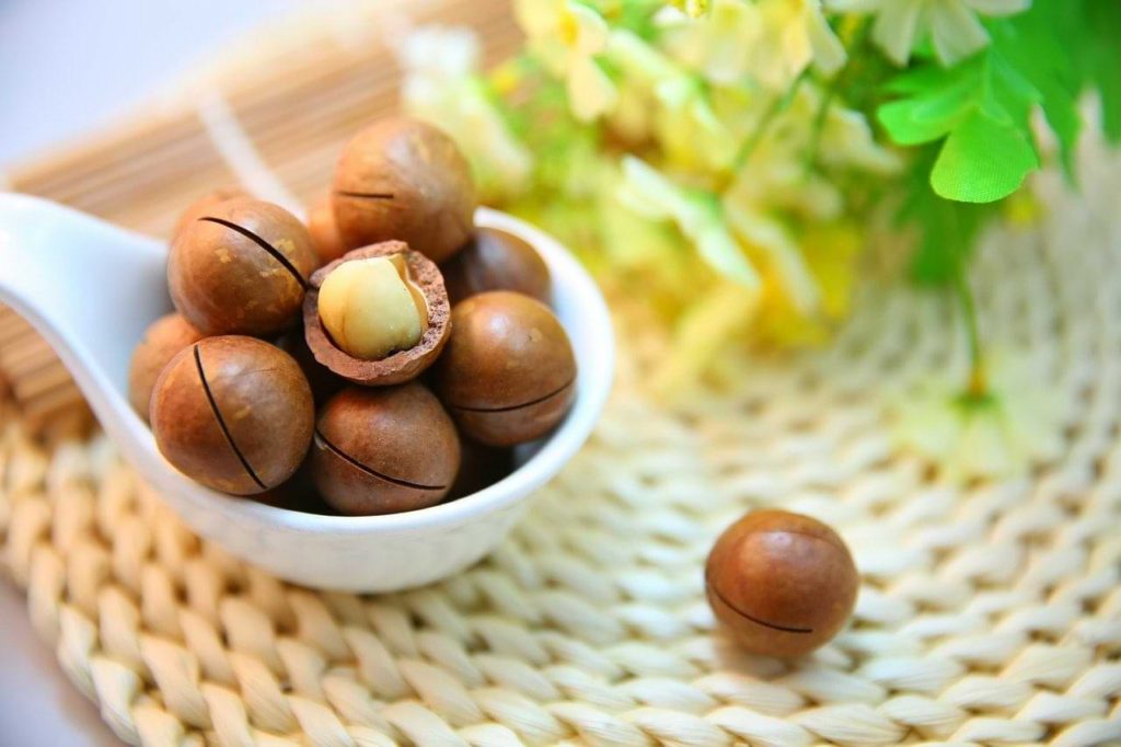 macadamia nuts on keto