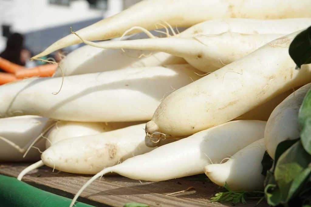 Daikon Radish as a plantain substitute 