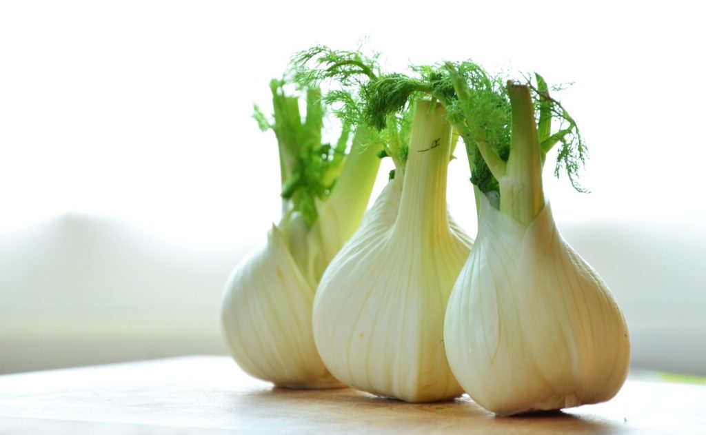 Is Fennel low carb