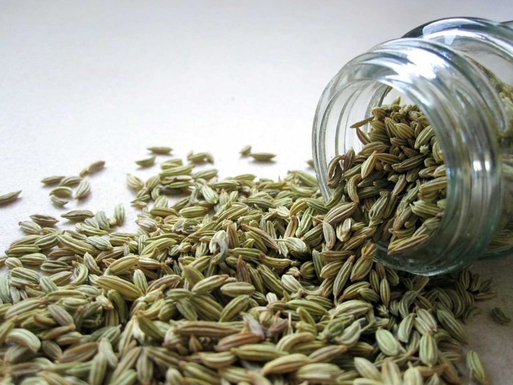 is fennel seed keto