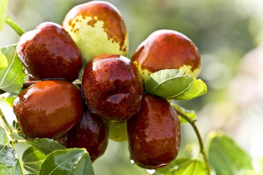 can you eat fresh dates on keto