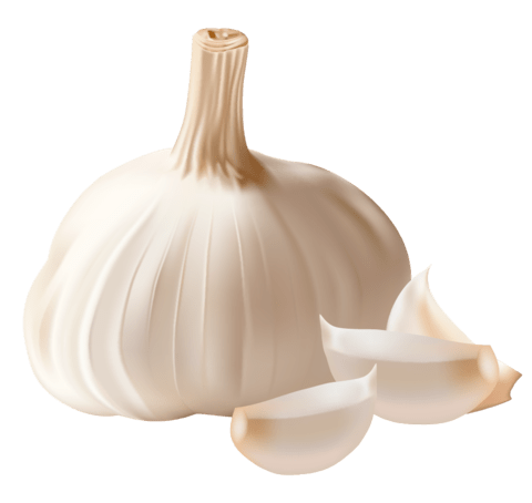 garlic keto