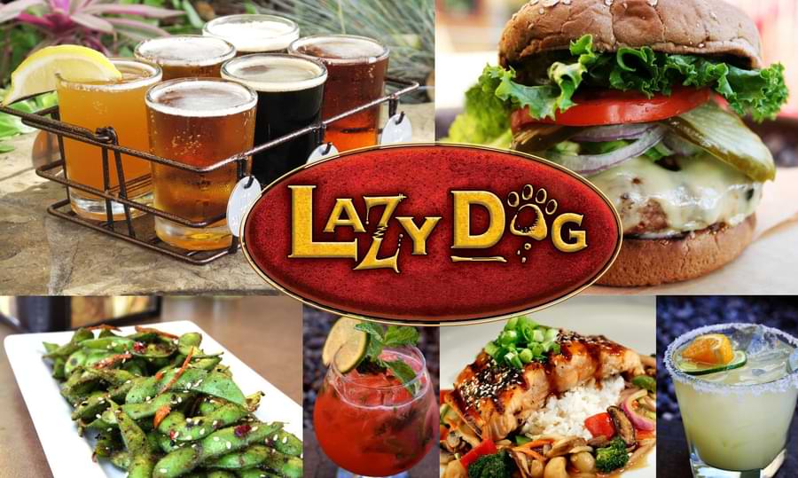 lazy dog menu overview