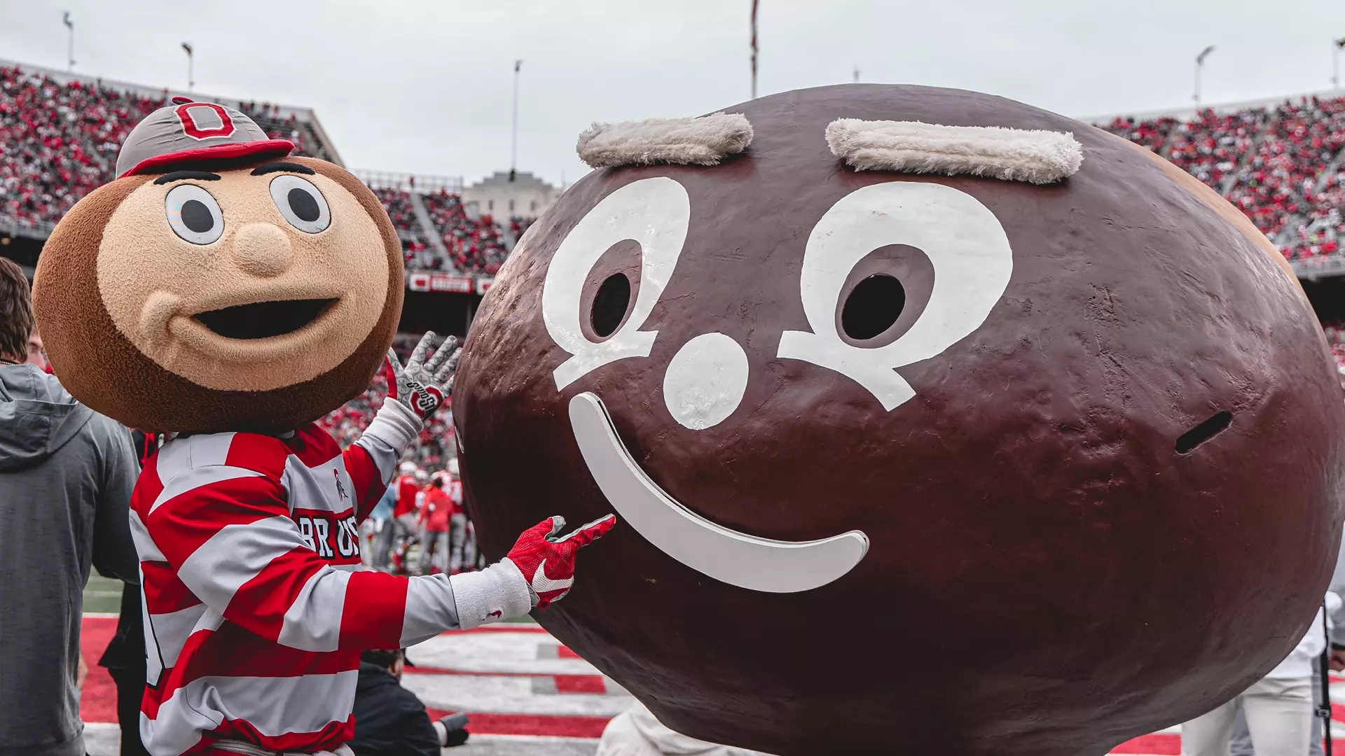 Brutus Buckeye mascot
