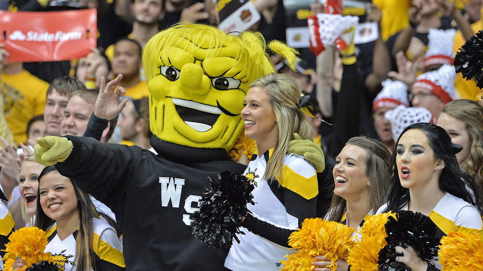 Funniest and Fiercest College Mascots in US Sports History