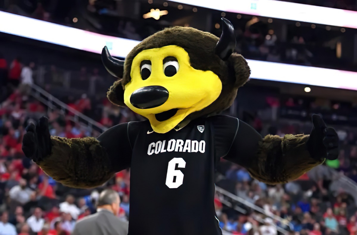 Ralphie the Buffalo (University of Colorado Boulder) mascot