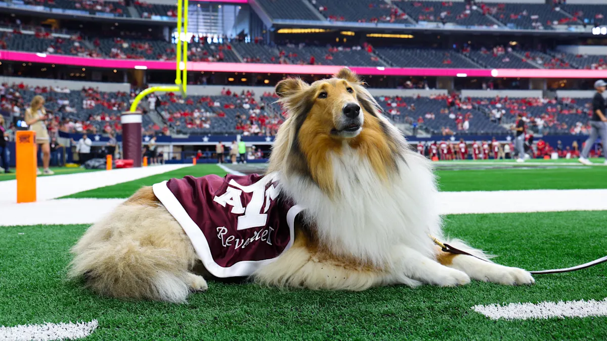 Reveille (Texas A&M University)