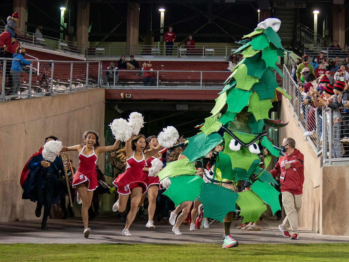 The Tree (Stanford University) mascot