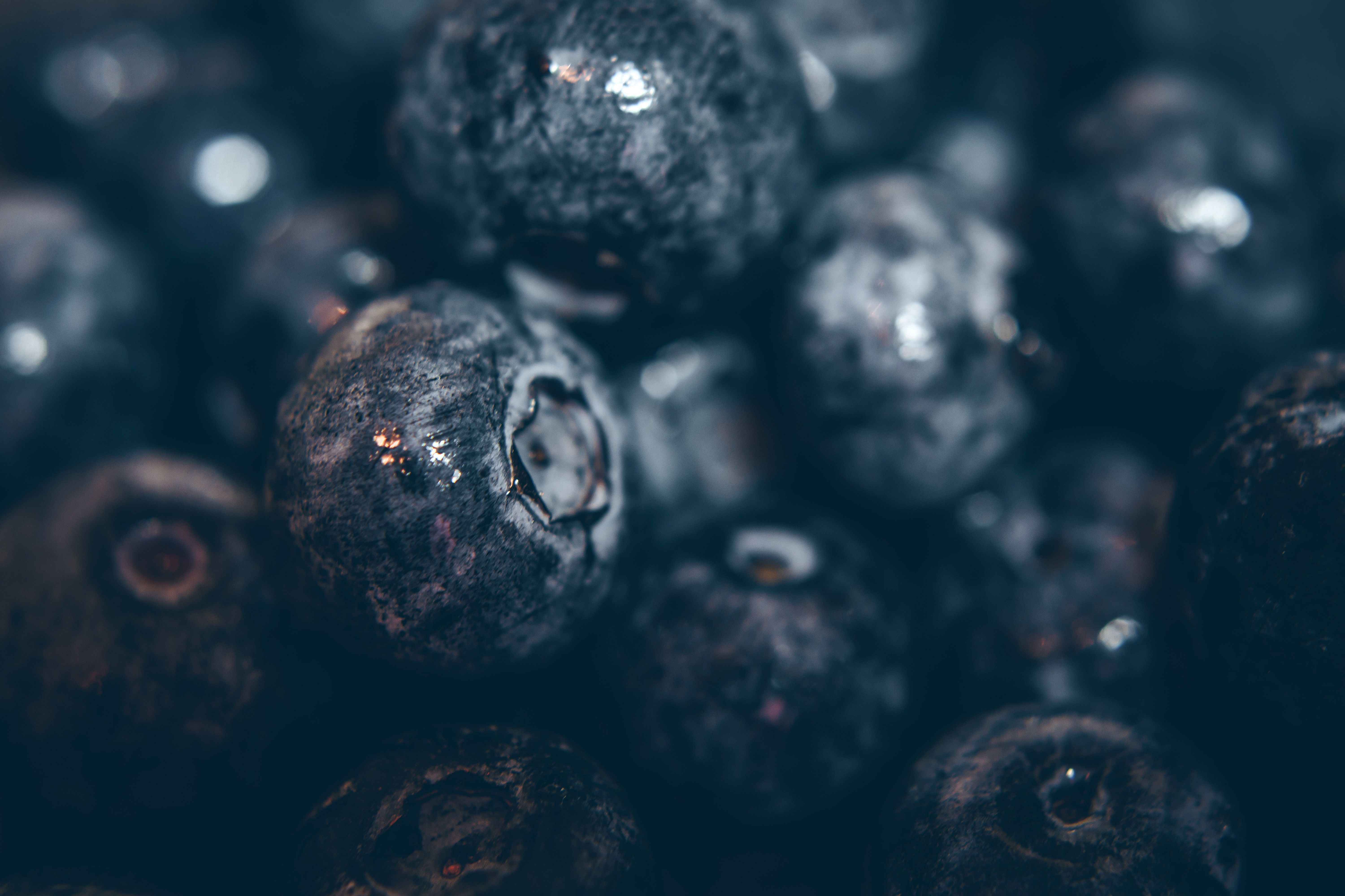 Close-up of fresh blueberries, an antioxidant superfood