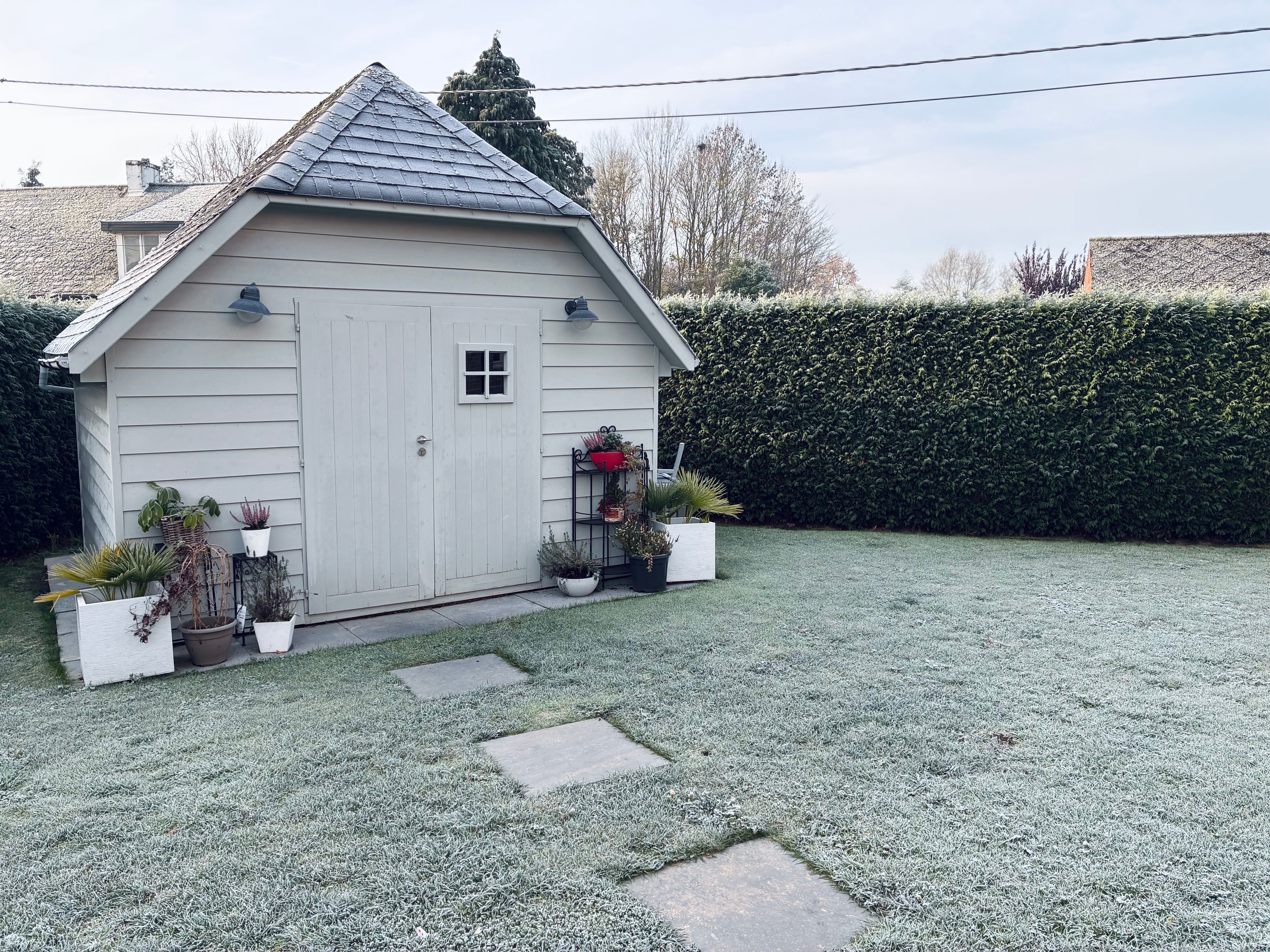 A quaint garden shed surrounded by frosty grass and plants in winter