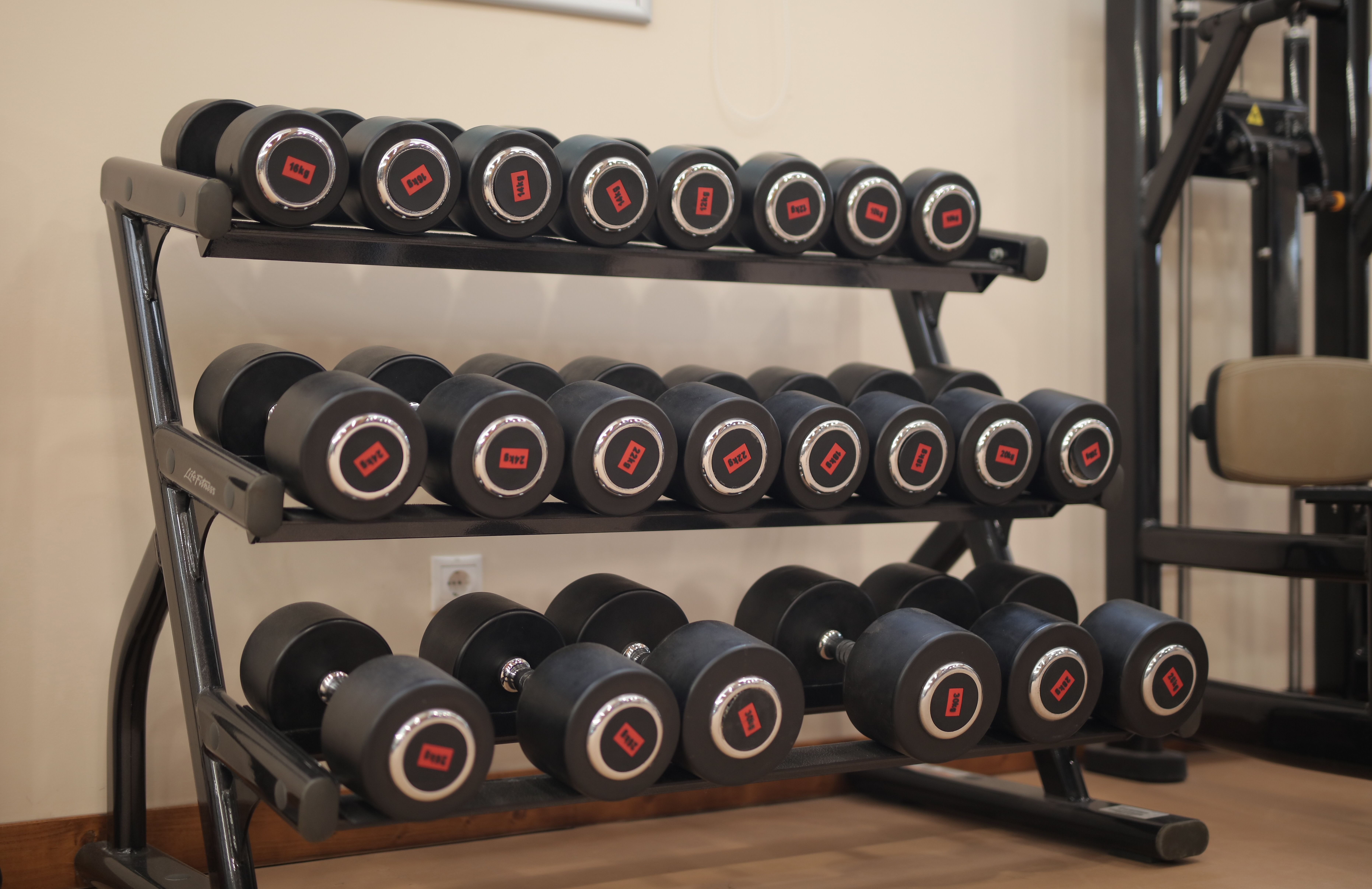 Neat arrangement of heavy dumbbells on a gym rack for strength training